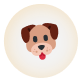 Floating Paws